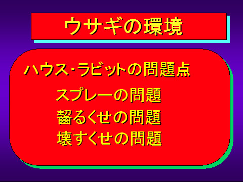 ウサギの環境05