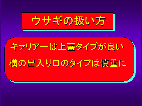 ウサギの扱い方02