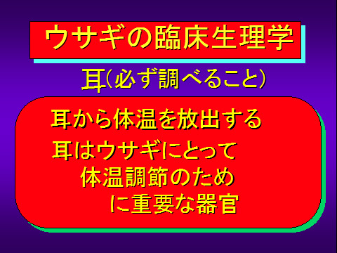 ウサギの臨床生理学