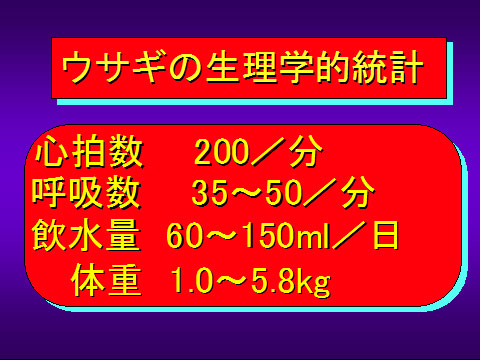 ウサギの生理学的統計02
