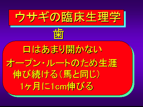ウサギの臨床生理学