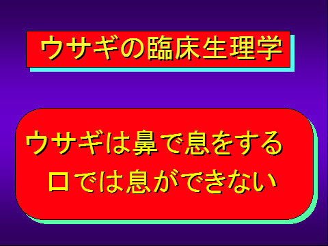 ウサギの臨床生理学02
