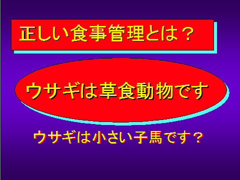 正しい食事管理とは?01