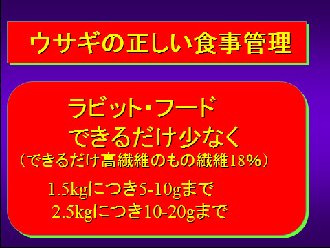 ウサギの正しい食事管理02