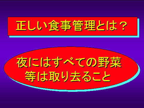 正しい食事管理とは?05