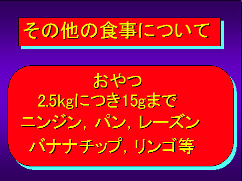 その他の食事について