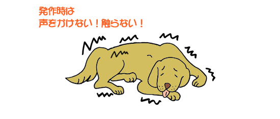 発作時は声をかけない!触らない!