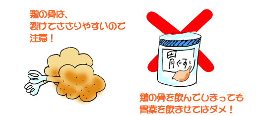鶏の骨
