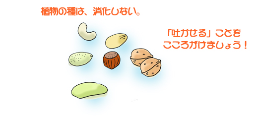 植物の種は、消化しない