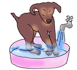 除草剤による中毒