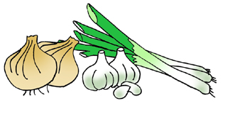 飼い主の指示で行動できるように躾ましょう