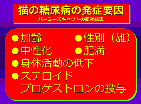 猫の糖尿病の発症要因