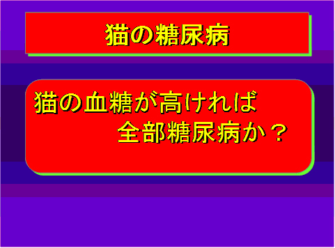 猫の糖尿病06