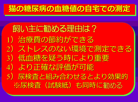 猫の糖尿病の血糖値の自宅での測定