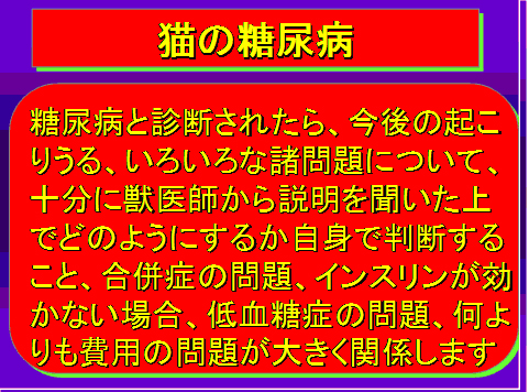 猫の糖尿病03