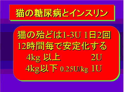 猫の糖尿病とインスリン03