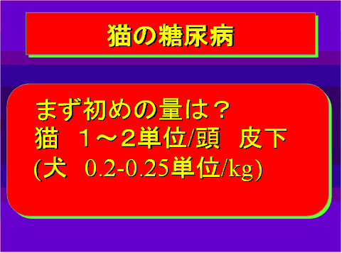 猫の糖尿病20