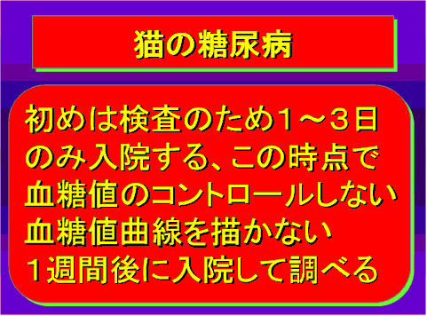 猫の糖尿病21