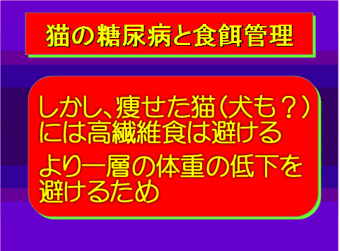 猫の糖尿病の食餌管理02