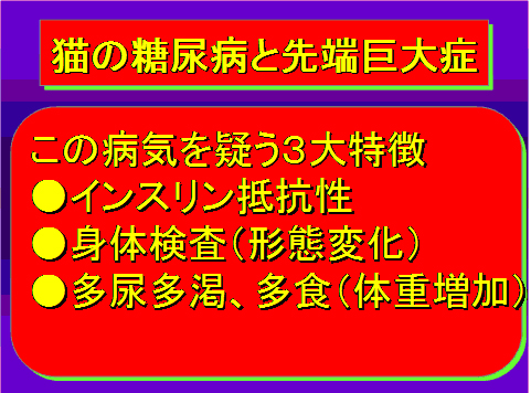 猫の糖尿病と先端巨大症02