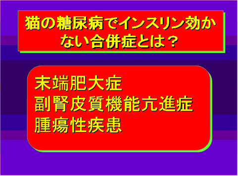 猫の糖尿病でインスリン効かない合併症とは?01