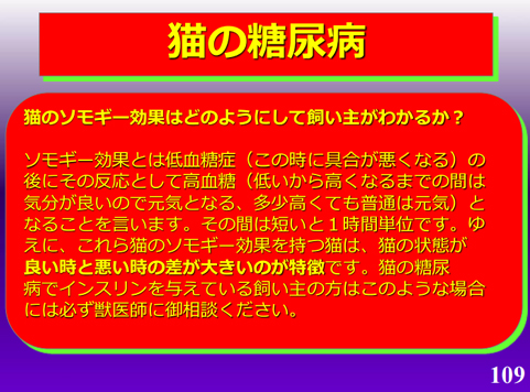 猫の糖尿病26