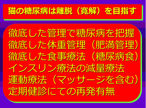 猫の糖尿病は離脱(寛解)を目指す