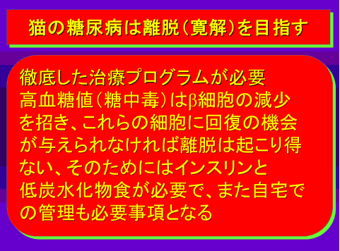 猫の糖尿病は離脱(寛解)を目指す
