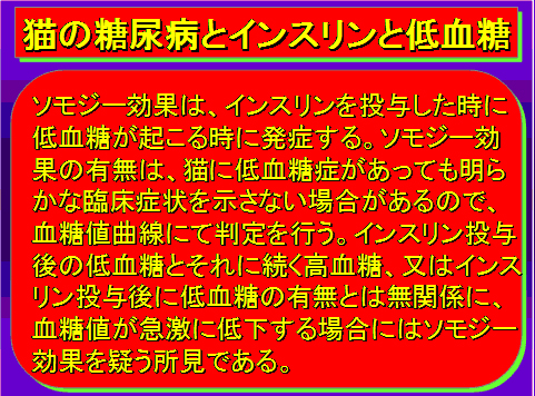 猫の糖尿病とインスリンと低血糖