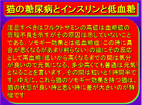 猫の糖尿病とインスリンと低血糖