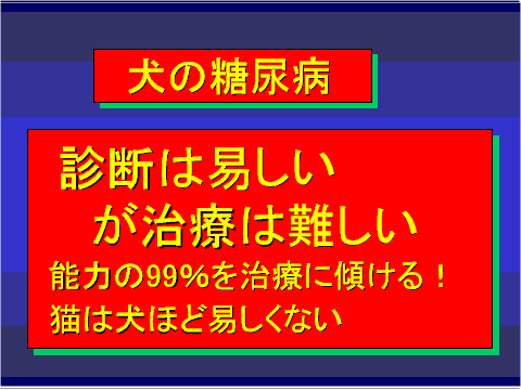 犬の糖尿病09