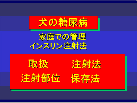 犬の糖尿病11