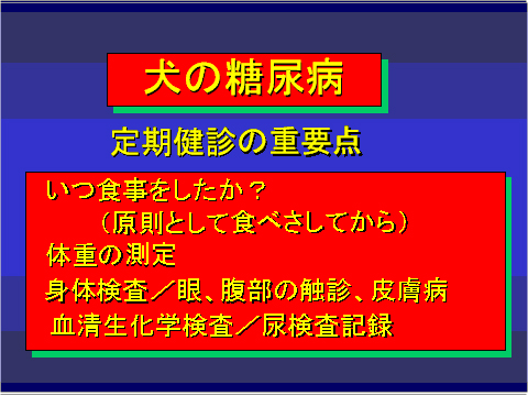 犬の糖尿病14