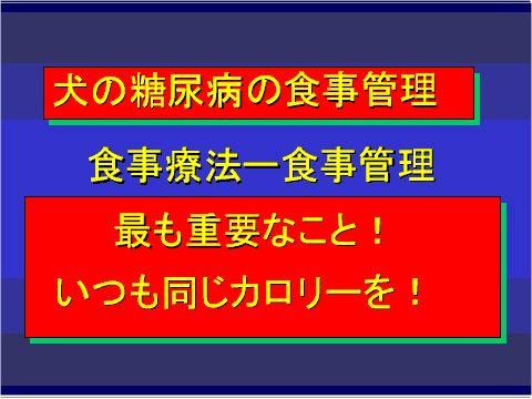 犬の糖尿病の食事管理01