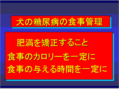 犬の糖尿病の食事管理02