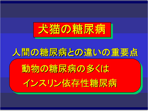 犬猫の糖尿病01