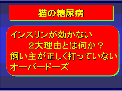 猫の糖尿病19