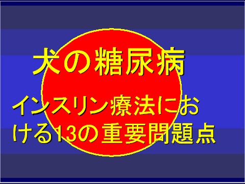 犬の糖尿病20