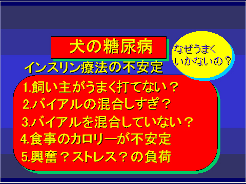 犬の糖尿病21