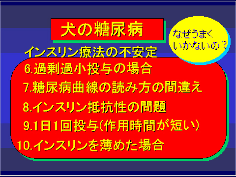 犬の糖尿病22