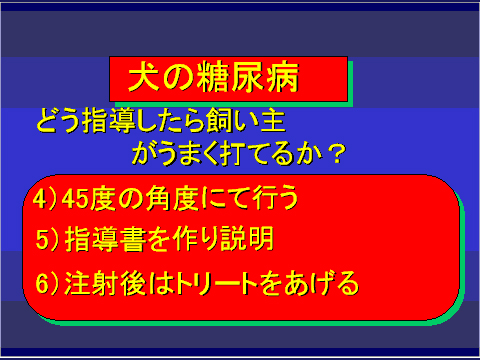 犬の糖尿病26