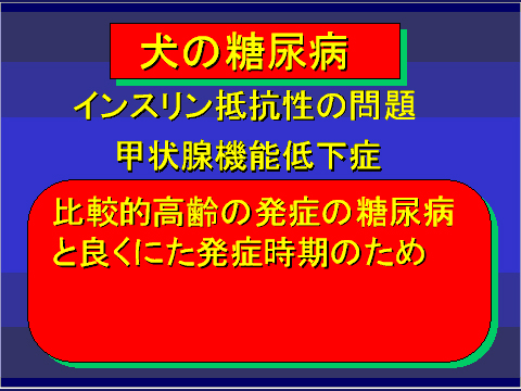 犬の糖尿病40