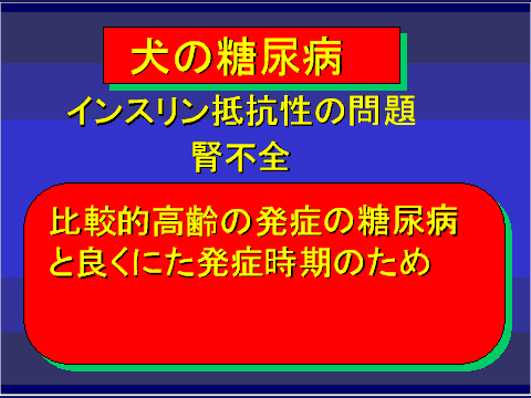 犬の糖尿病43