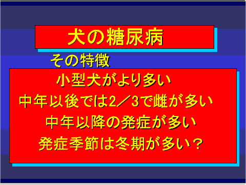 犬の糖尿病05