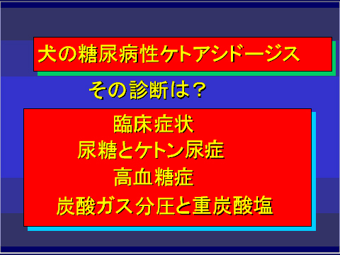 犬の糖尿病性ケトアシドーシス