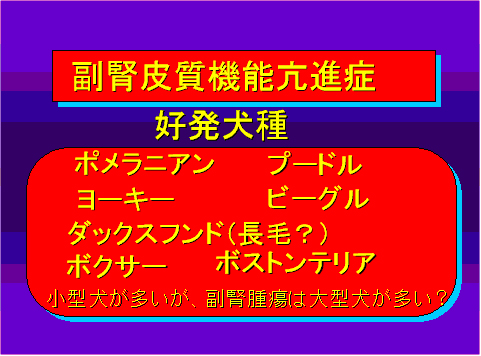 副腎皮質機能亢進症03