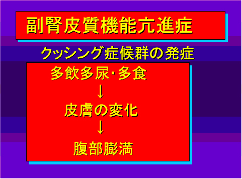 副腎皮質機能亢進症06