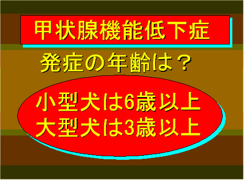 甲状腺機能低下症01