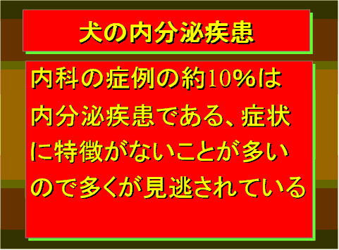 犬の内分泌疾患