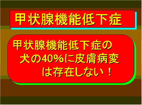 甲状腺機能低下症05